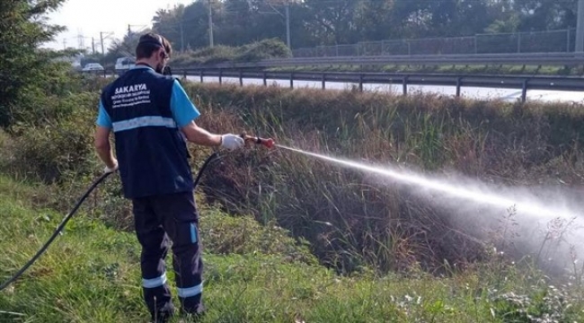 Büyükşehir vektörlerle mücadeleyi yıl boyu sürdürüyor